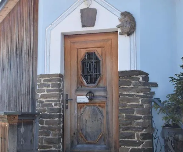 Fewo's Und Apartment's Blaues Haus Апартаменты Давос