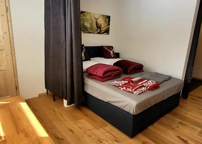 Апартаменты Fewo's Und Apartment's Blaues Haus